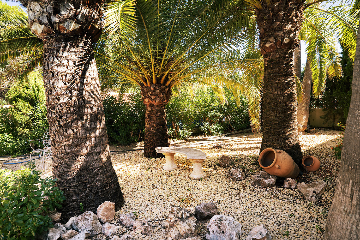 152645F2 373B 42F3 9FDF FB1C40640189%20ok DeNoiseAI